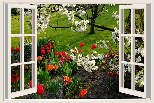 Open window to garden