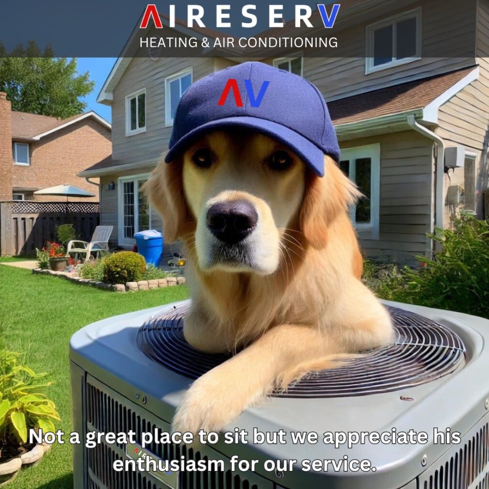 AC condenser with Dog