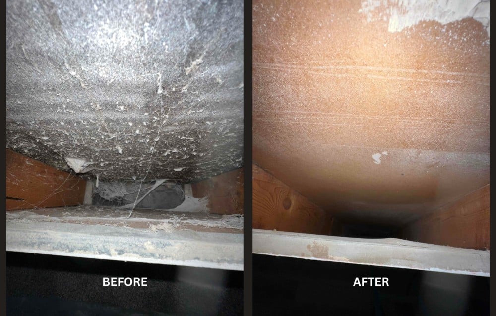 Duct Cleaning