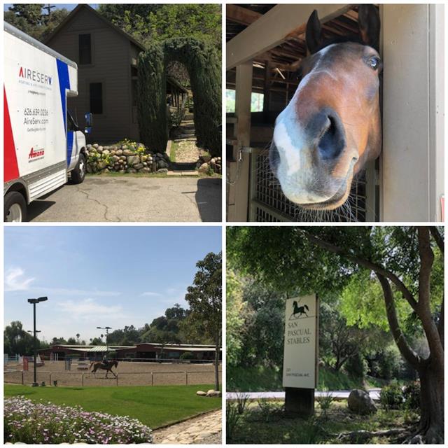 Photo collage at San Pascual Stables