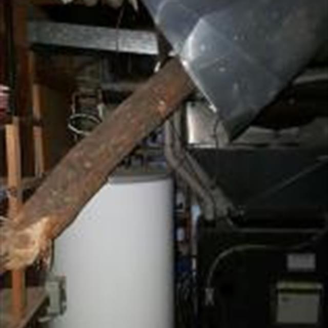 Tree vs. furnace and duct work...we can help with that too!