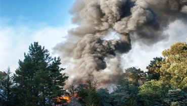 A wildfire with thick black smoke rising into the sky, surrounded by dense green trees. | Aire Serv® of North Central Arizona