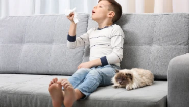 Little boy on couch looking at tissue