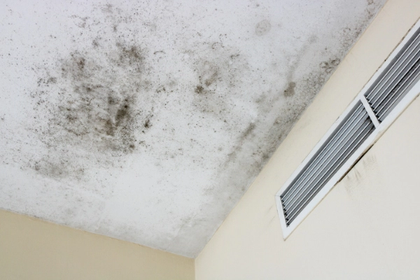 How Do You Treat Mold in an HVAC System?